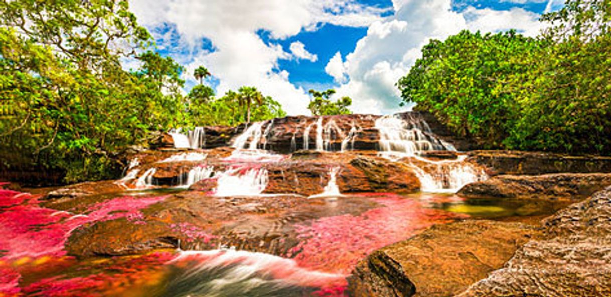 Place Caño Cristales, el Río más hermoso del mundo, en Colombia.