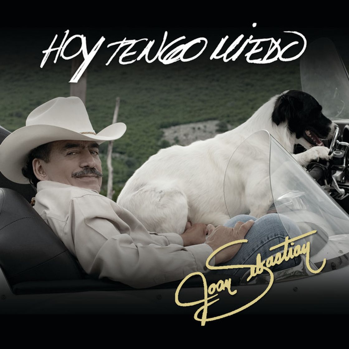 Music Hoy Tengo Miedo