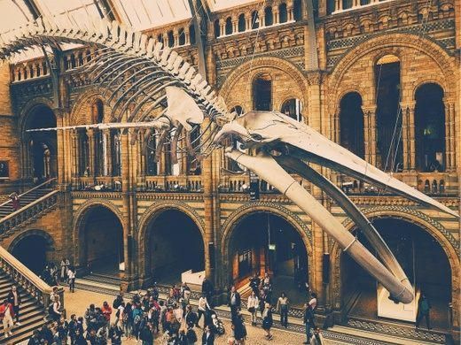 Natural History Museum