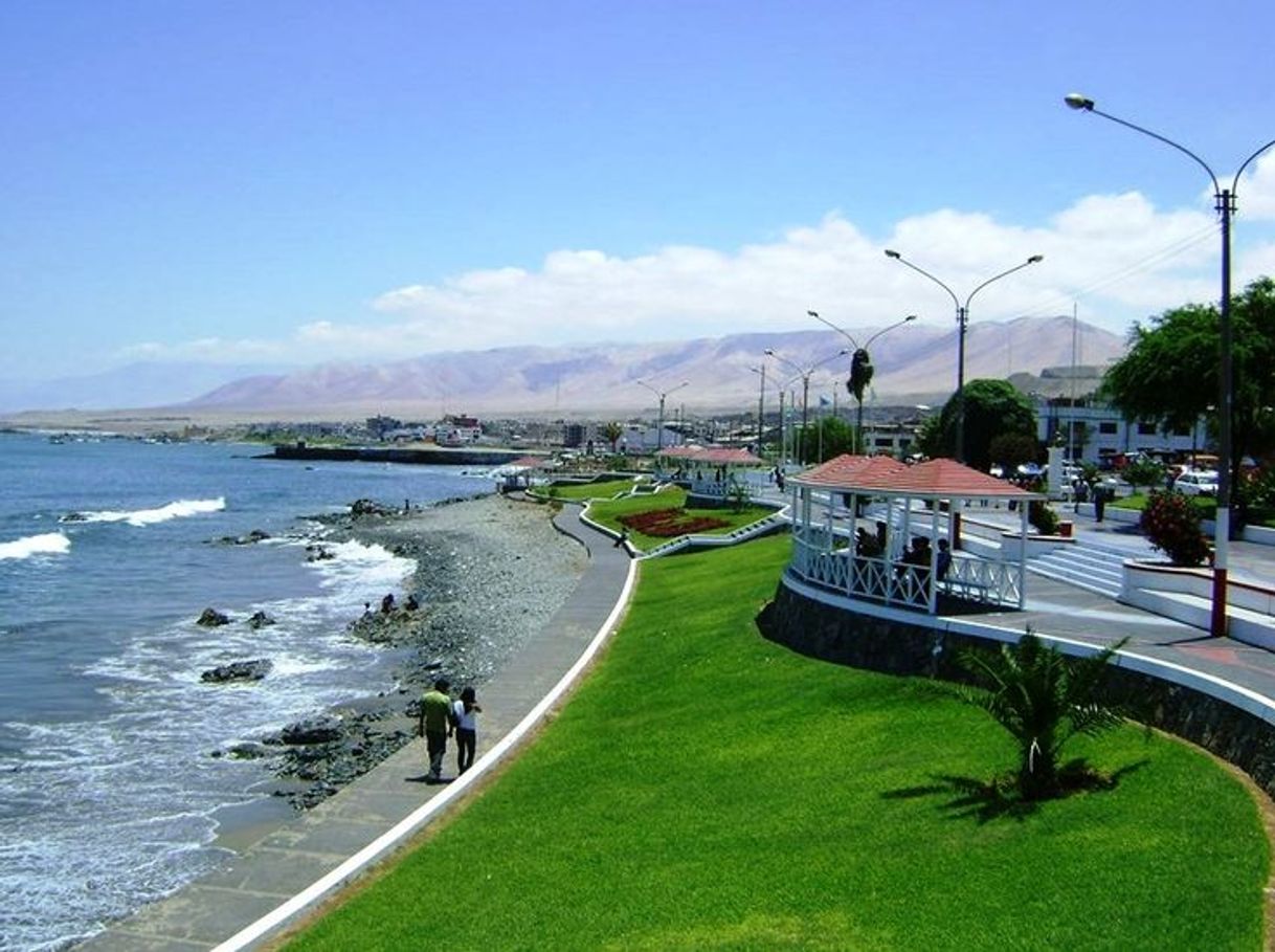 Fashion Malecon Costero -Ilo | Malecon, Costero, America del sur