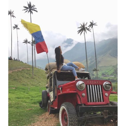 Valle Del Cocora