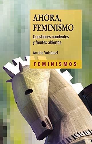 Book Ahora, Feminismo: Cuestiones candentes y frentes abiertos