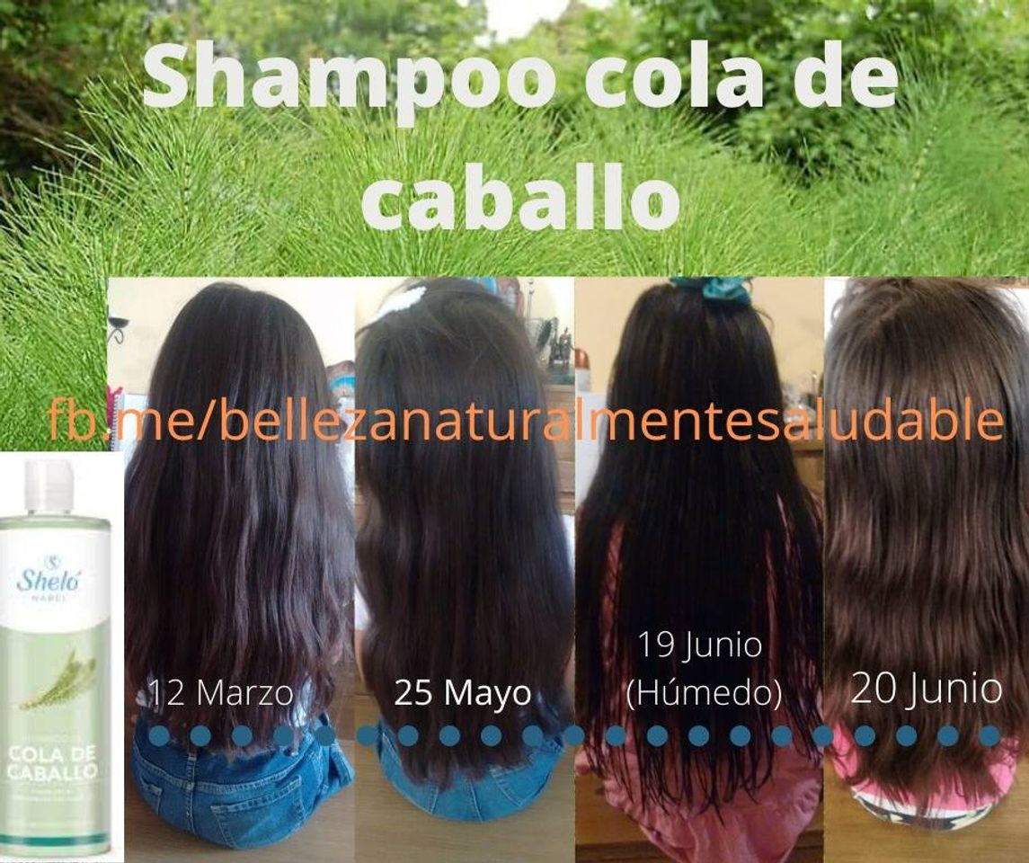 Fashion Shampoo cola de caballo sheló nabel 💙