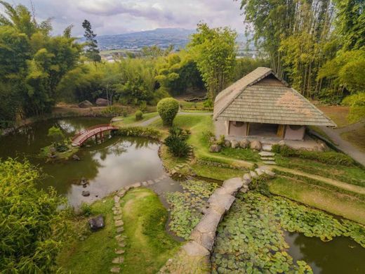 Jardín Botánico Lankester