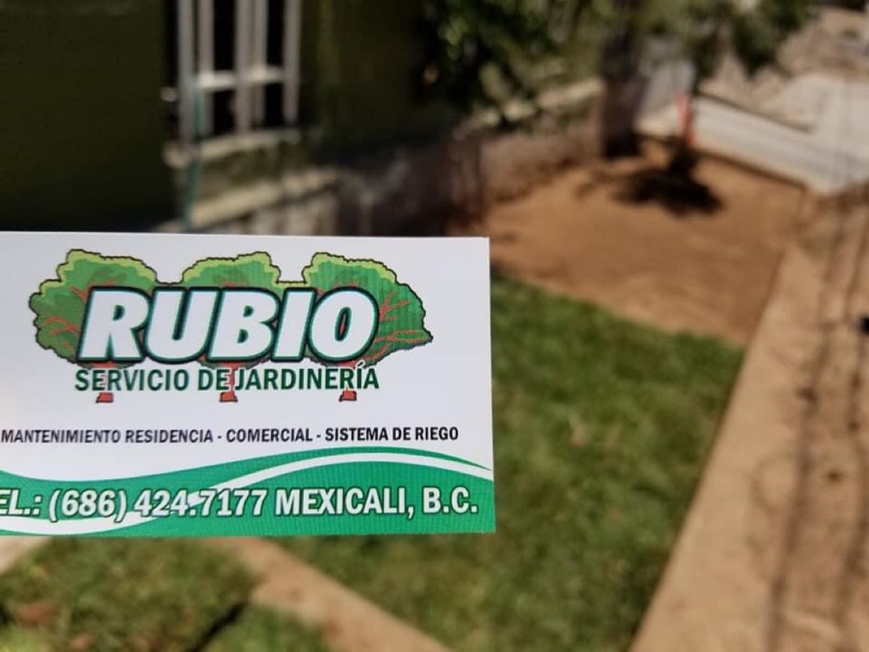 Moda RUBIO servicio de jardineria - Mexicali, Baja California - Facebook