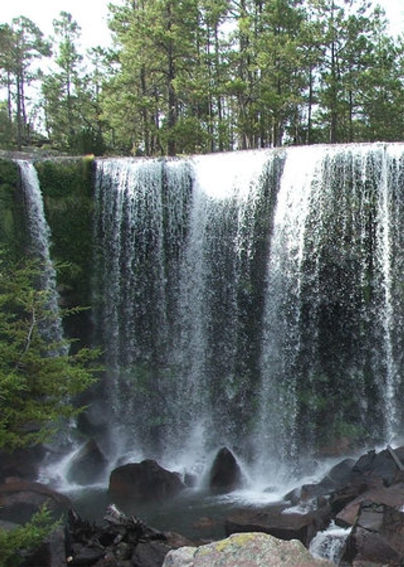 Lugar Parque Natural Mexiquillo