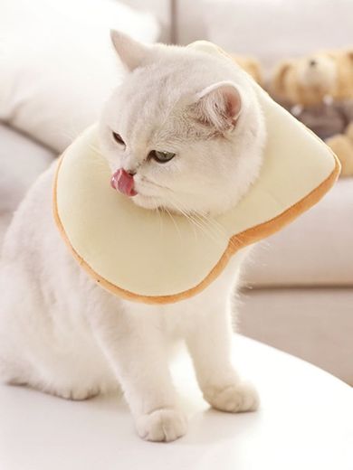 Círculo Elizabeth para gato en forma de tostada 🍞❤️🐱