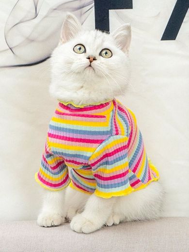 Camiseta de gato de rayas 🐈 ❤️