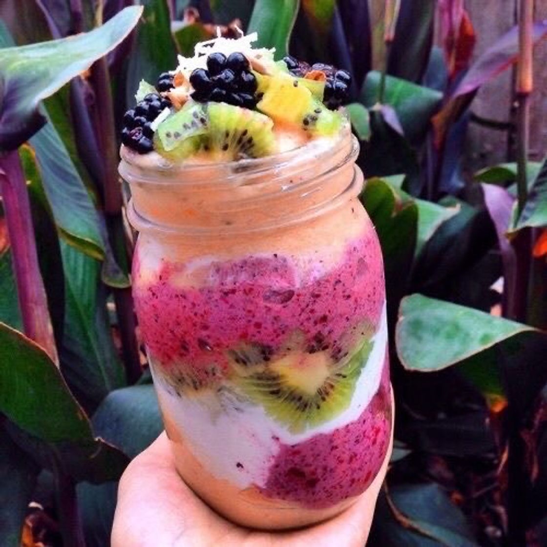 Fashion Frutas 