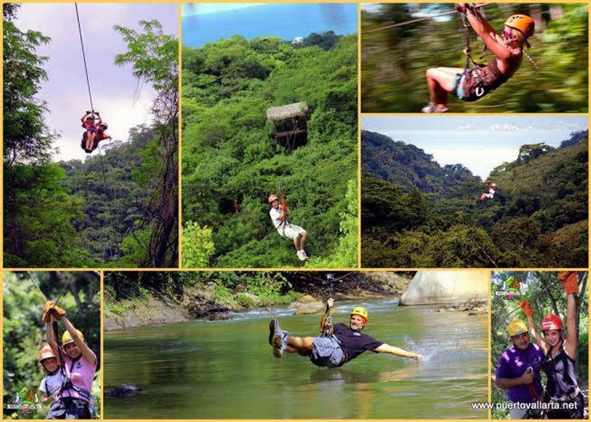 Place Los Veranos Canopy Tour