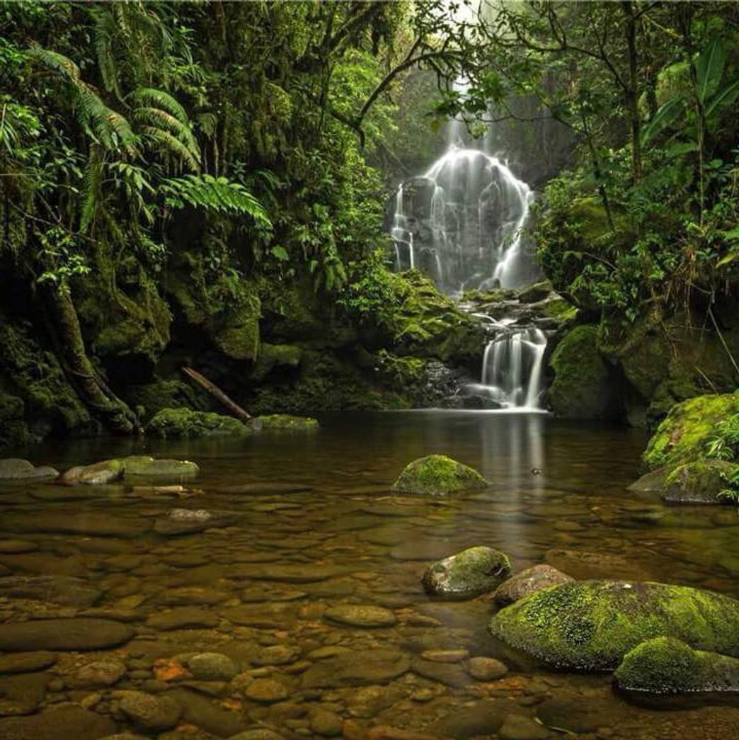 Lugar Refugio de Vida Silvestre Cerro Dantas