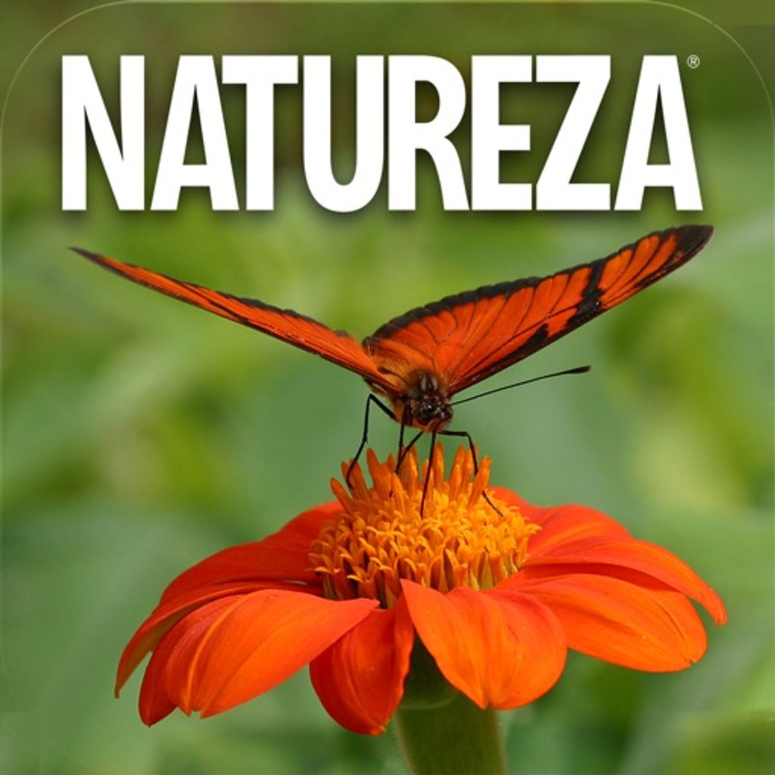 App Revista Natureza Brasil