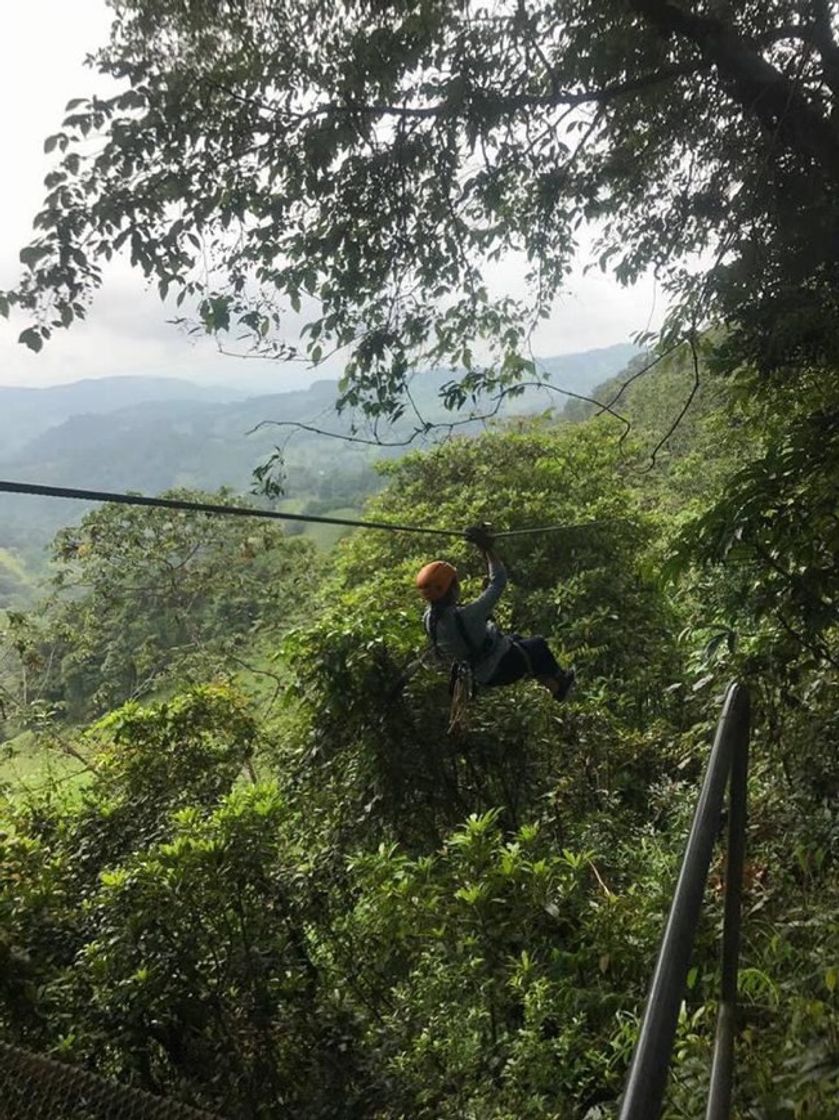 Place Monteverde Extremo