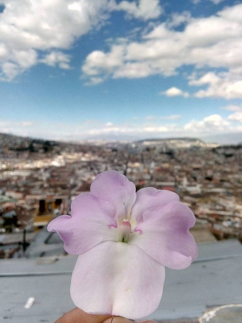 Lugar Quito