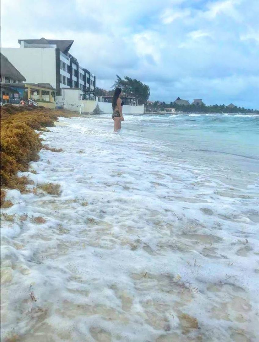 Lugar Riviera Maya