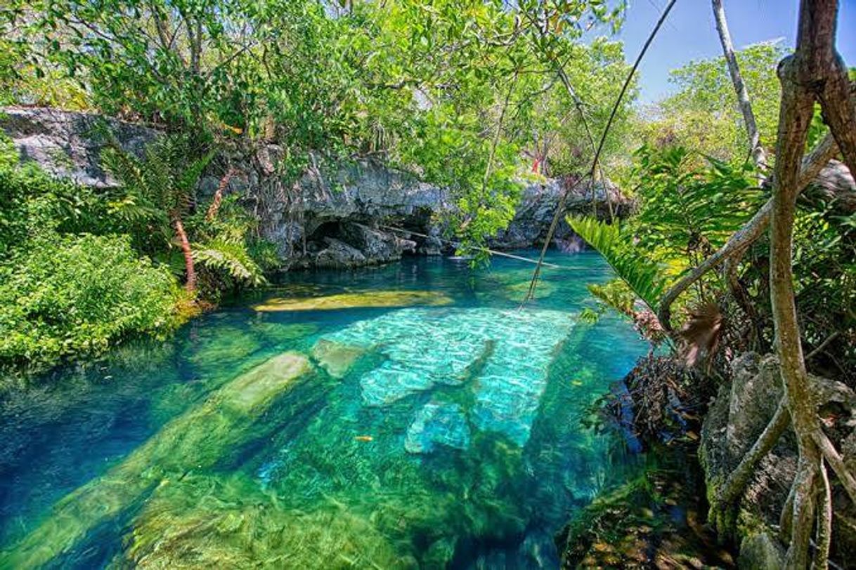 Lugar Cenote Cristalino