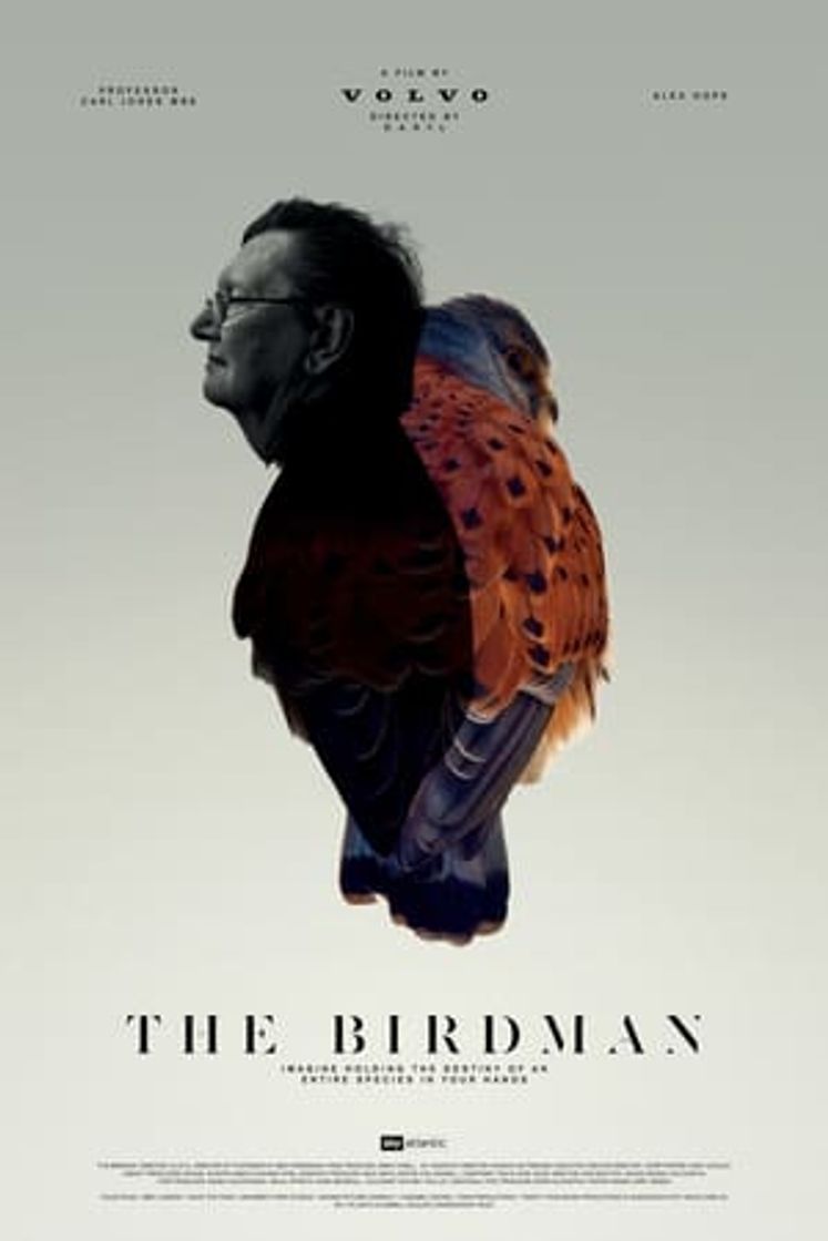 Movie The Birdman