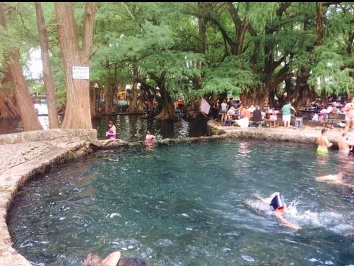 Lugar Lago de Camécuaro