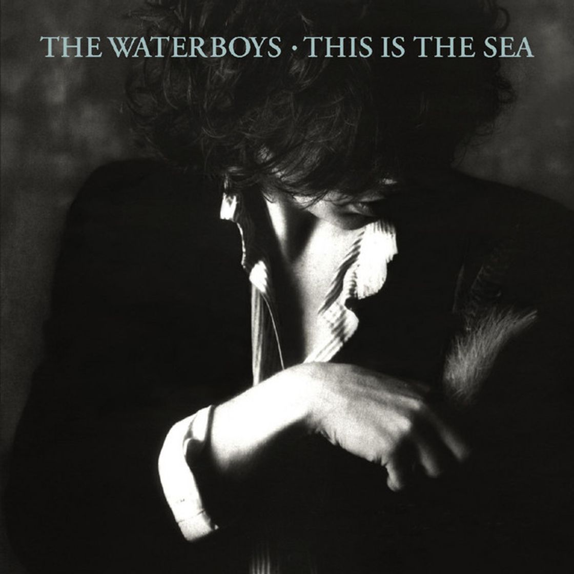 Music This Is the Sea - 2004 Remaster