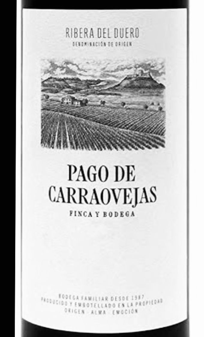 Fashion Pago de Carraovejas Winery, wines with Ribera del Duero ...