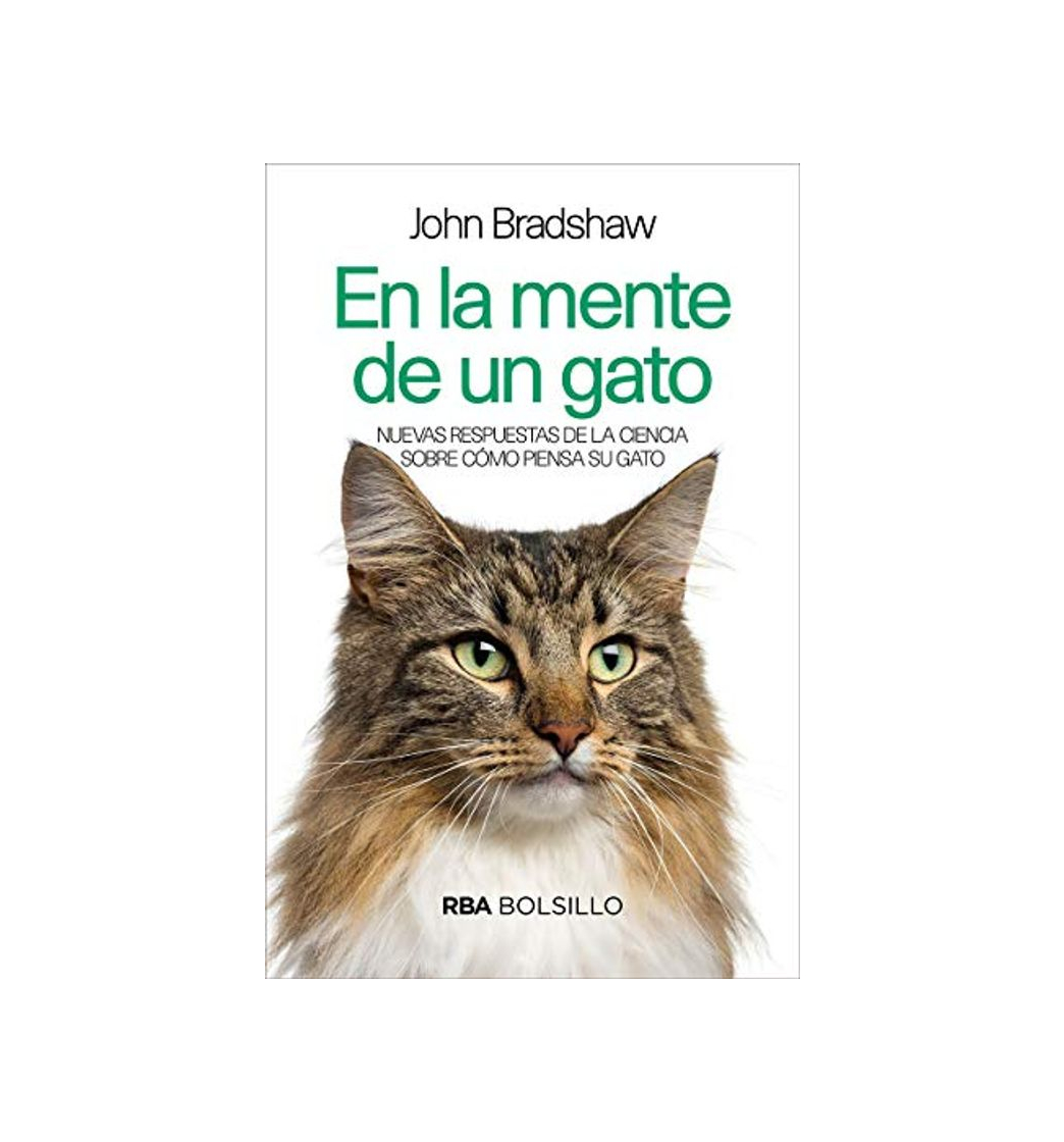 Libro En la mente de un gato