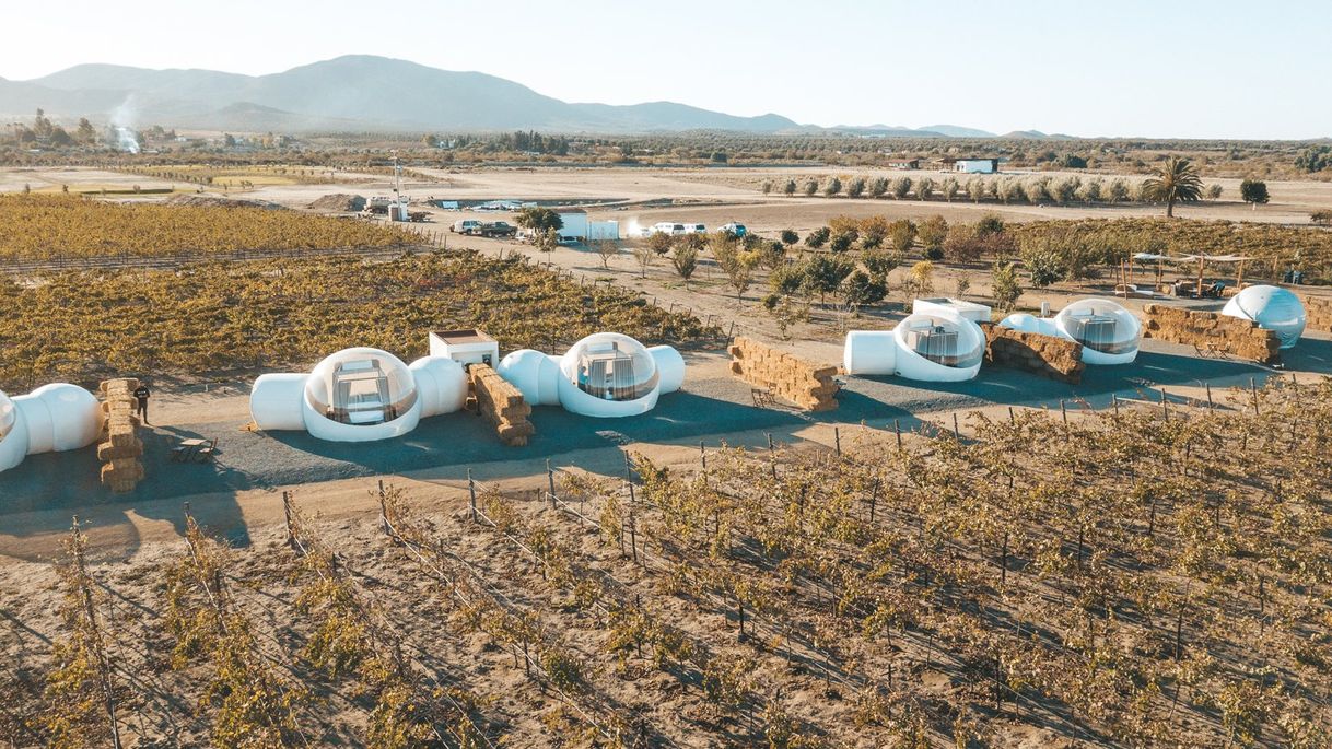 Lugar Valle de Guadalupe