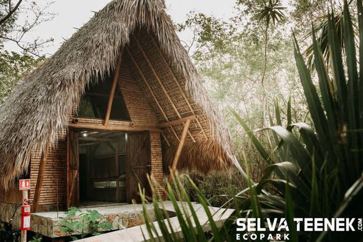 Lugares Selva Teenek Ecopark