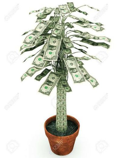 Tree for money