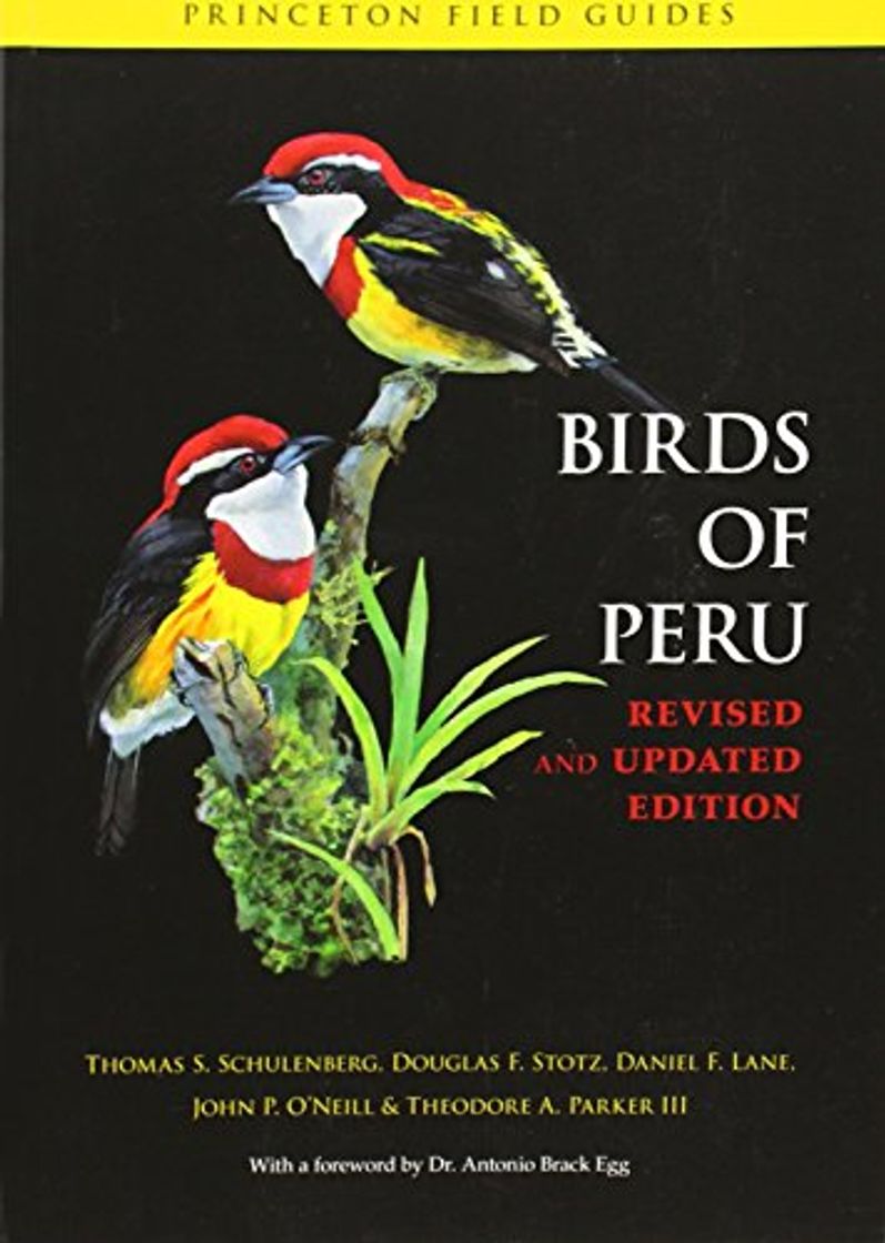 Book Birds of Peru