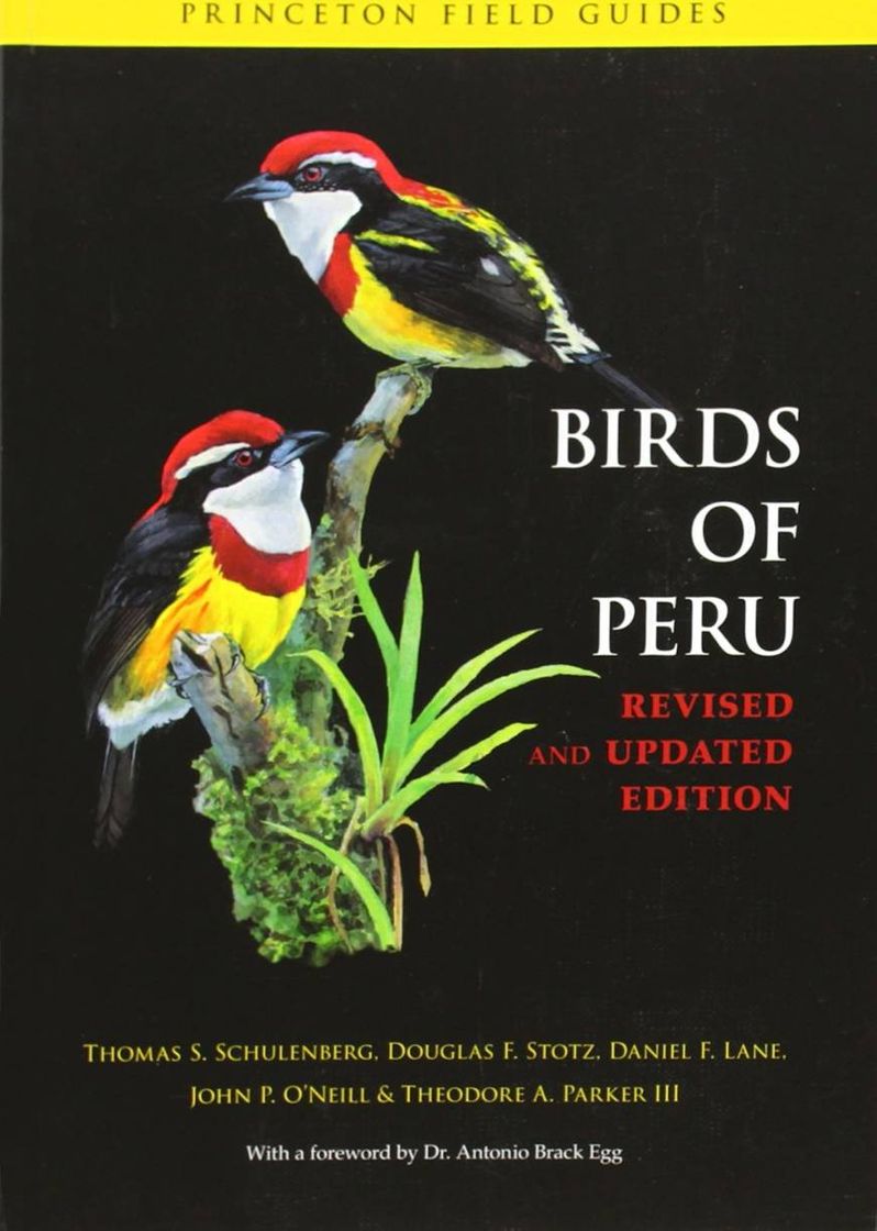 App Birds of Perú