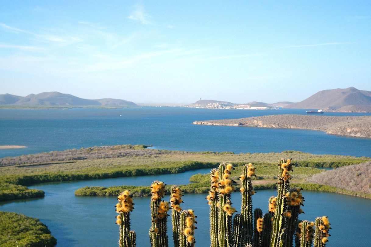 Lugar Topolobampo