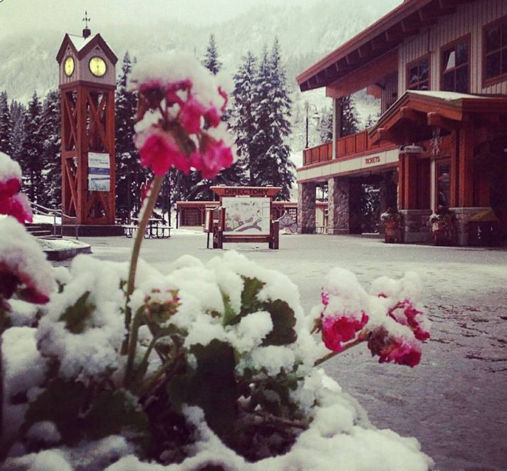 Lugares Stevens Pass