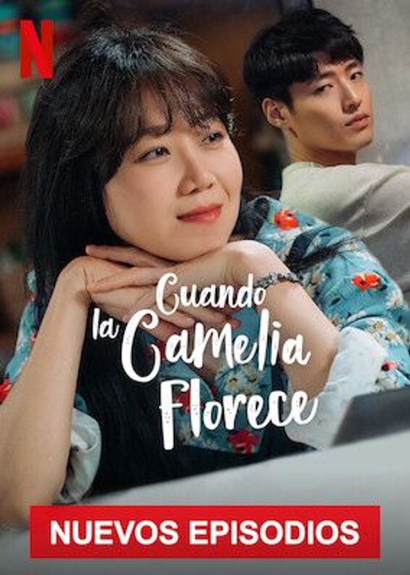 Serie Cuando la Camelia Florece