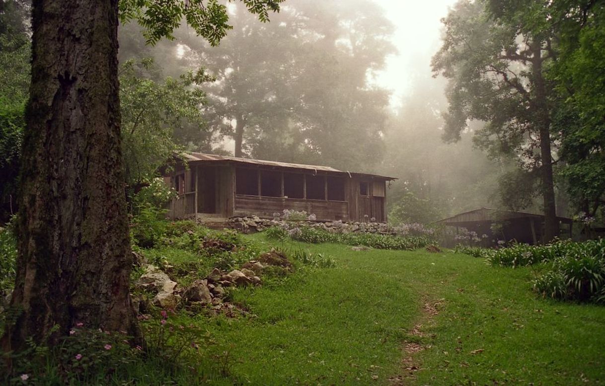 Lugar Biosfera El Cielo