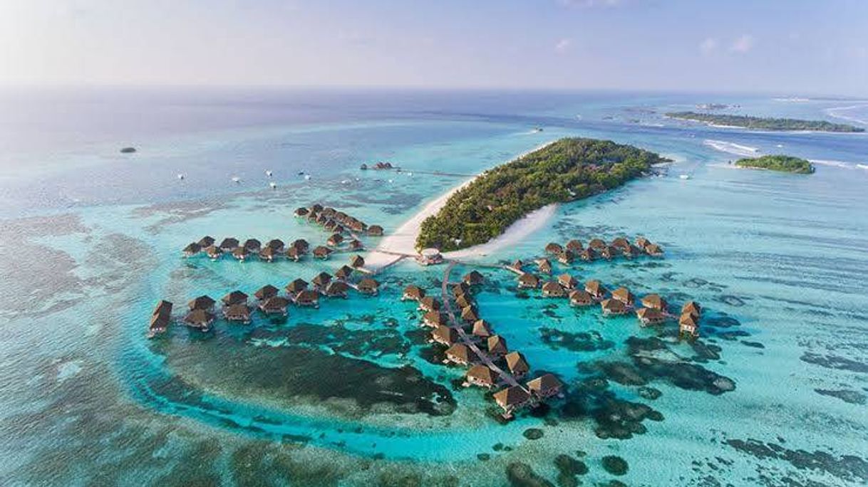 Lugar Maldive Islands