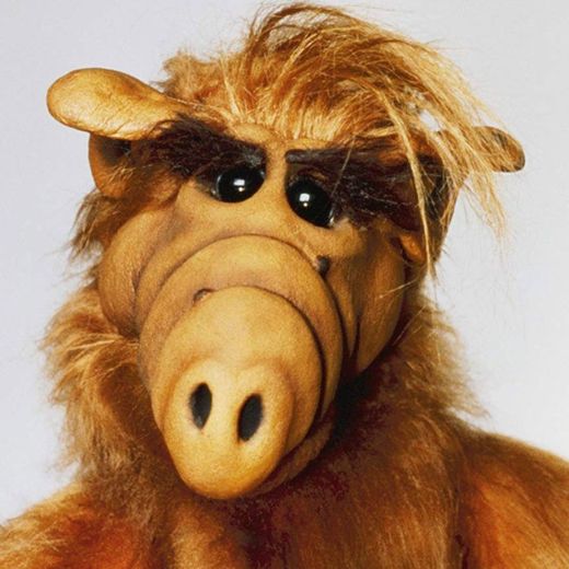 ALF