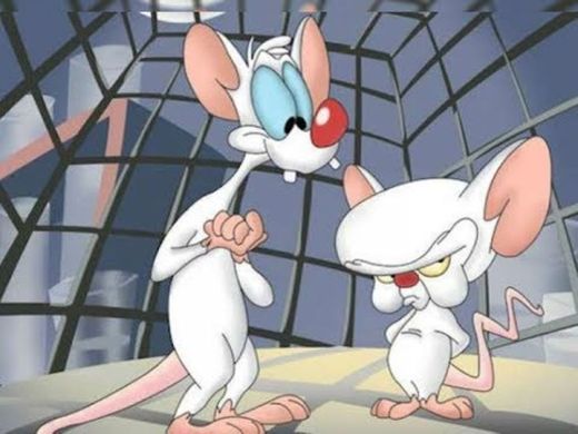 Pinky and the Brain