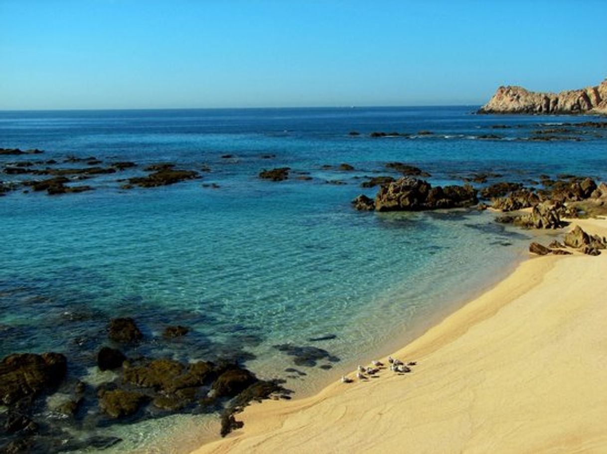 Lugar Playa Chileno Cabos