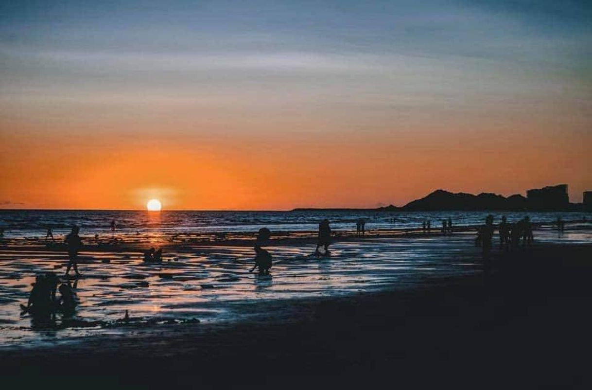 Restaurants Puerto Peñasco