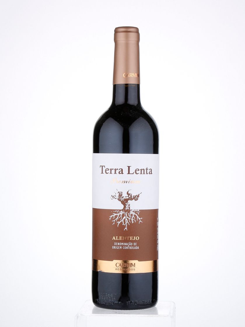 Social Terra lenta