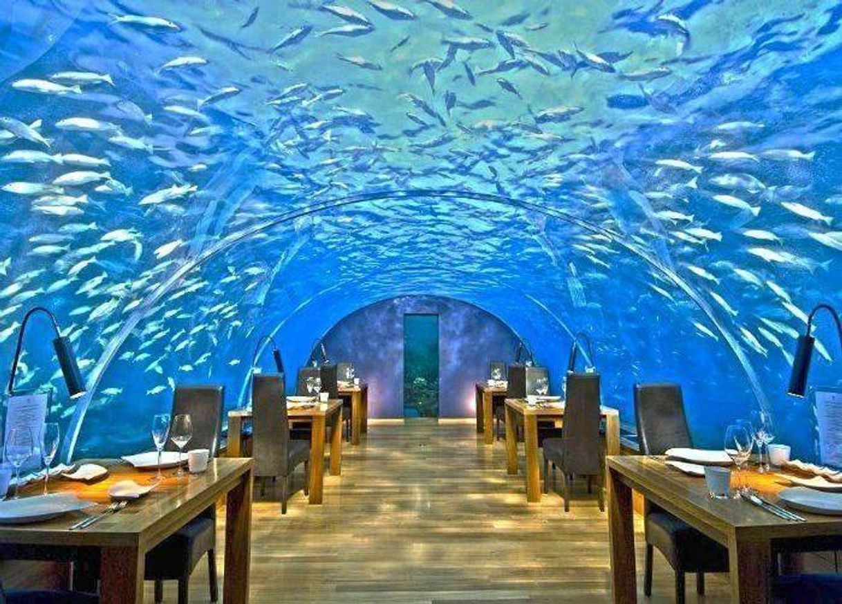 Restaurants Ithaa Undersea Restaurant – Ilha Rangali, Maldivas