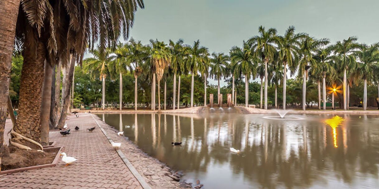 Lugar Parque Sinaloa