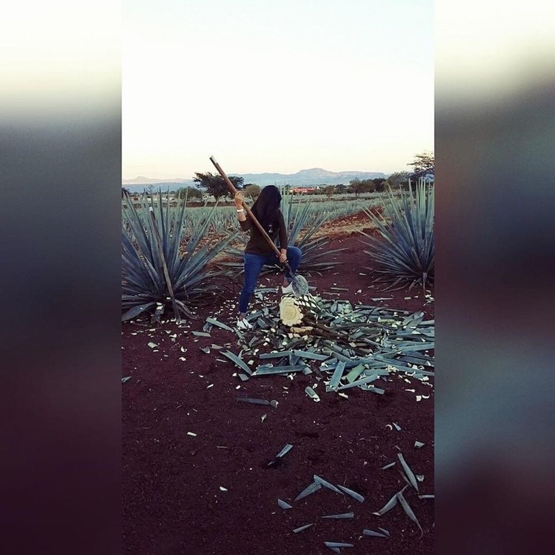 José Cuervo