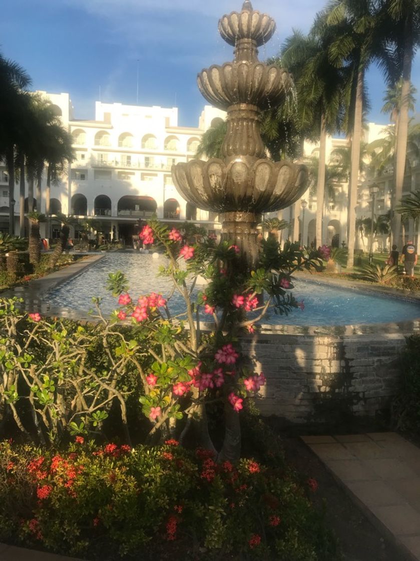 Place Hotel Riu Vallarta