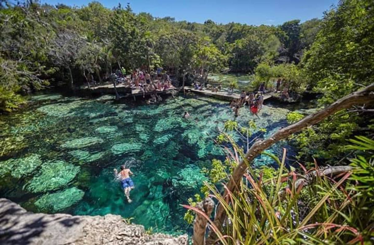 Social ¡CENOTE AZUL EN PLAYA DEL CARMEN! 💞😍

