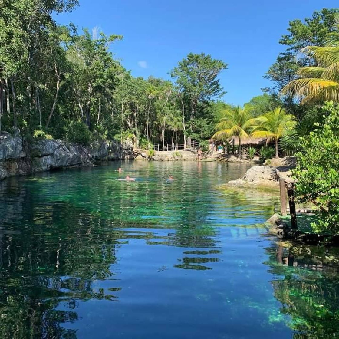 Social Cenote casa tortuga Tulum!