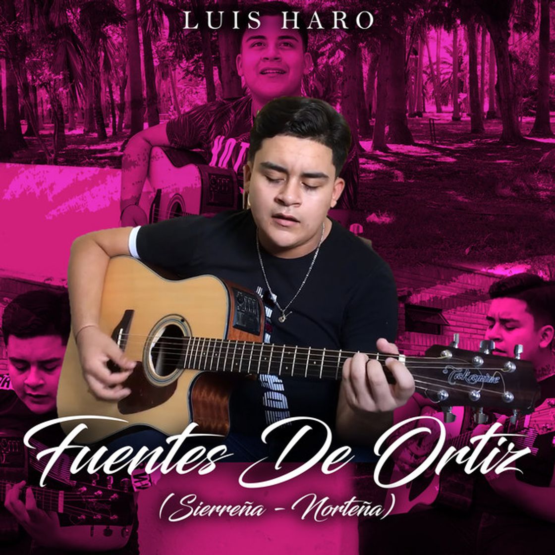 Music Fuentes De Ortiz: Sierreña - Norteña