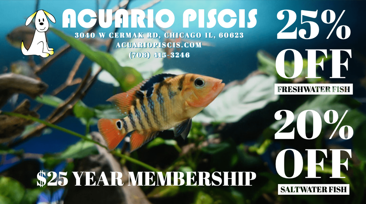 Place Acuario Piscis