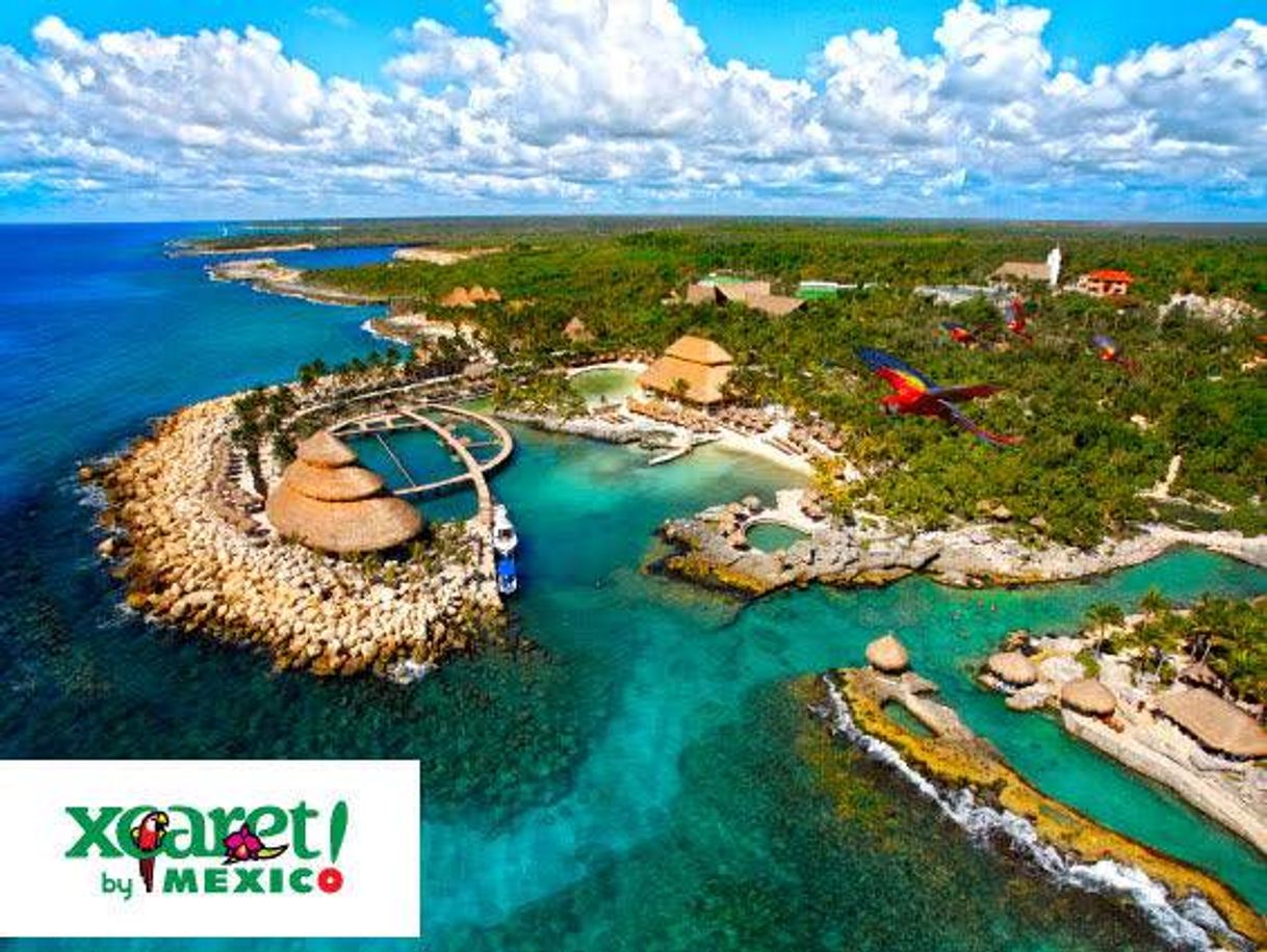 Place XCARET