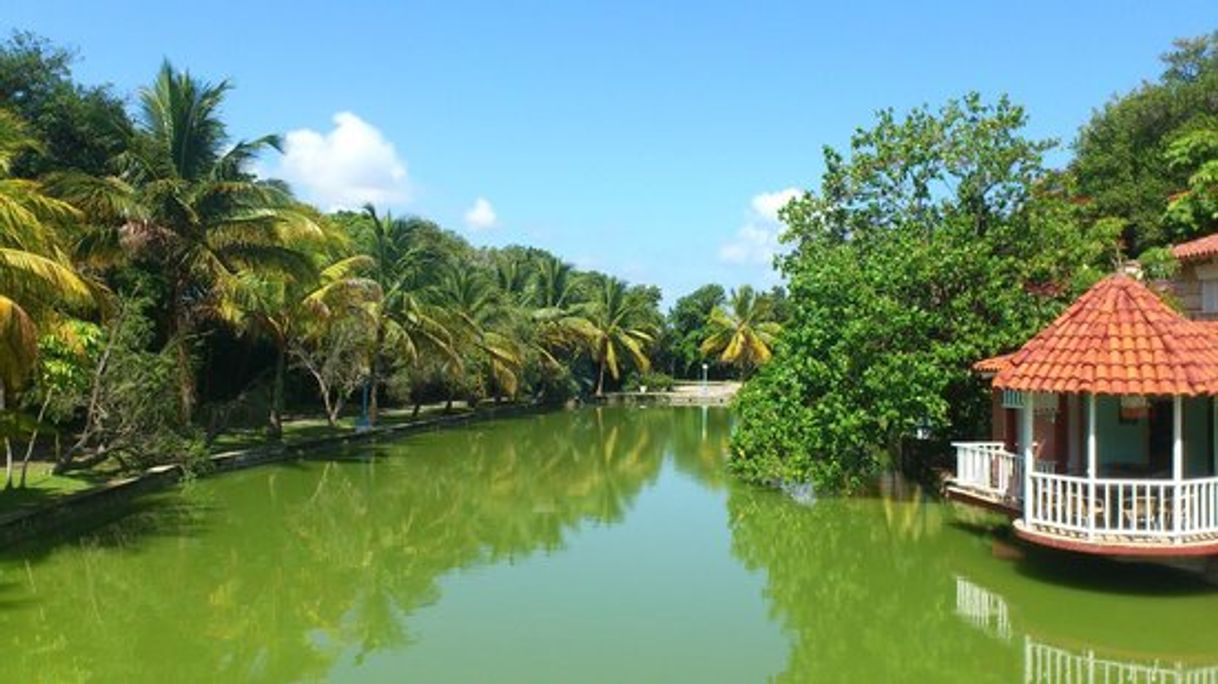 Lugar Parque Josone